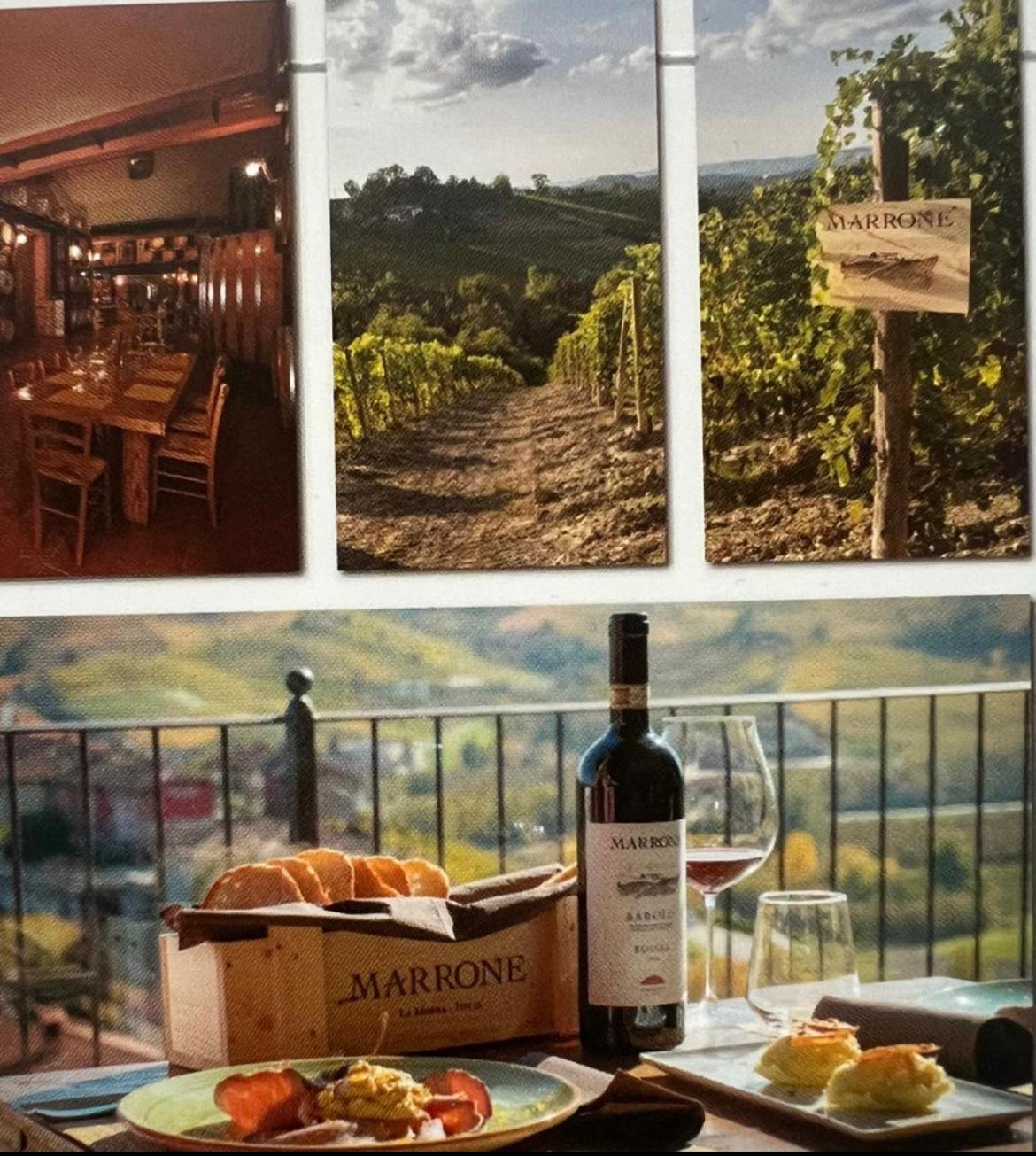 Agriturismo Da Mamma Альба Екстер'єр фото