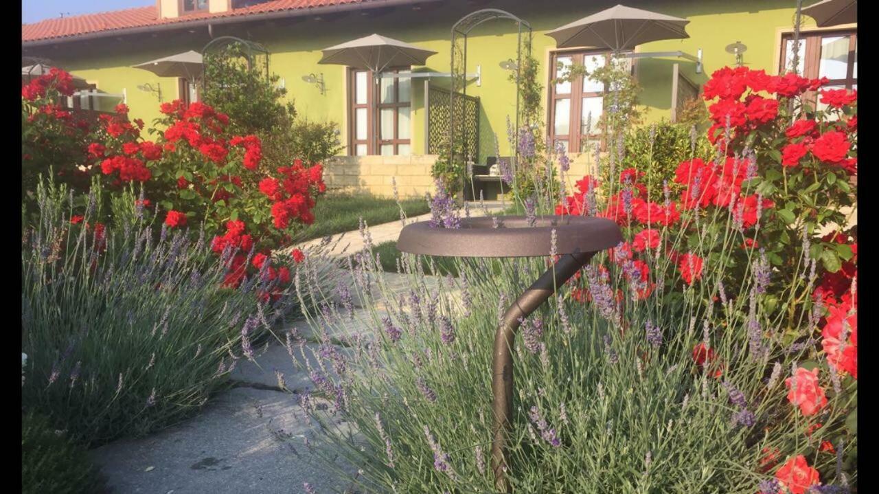 Agriturismo Da Mamma Альба Екстер'єр фото
